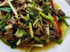 -腾冲国萍农家乐