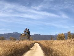 -野鸭湖国家湿地公园