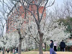 -河南省黄河迎宾馆