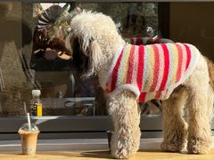 -小意思咖啡店(草桥店)