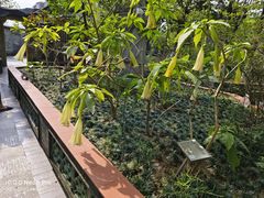 -广州神农草堂中医药博物馆