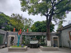 -碧江金楼