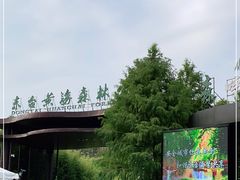 -黄海国家森林公园