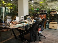 -大视光学•LINDBERG林德伯格•全球手工眼镜集合店(王府井店)