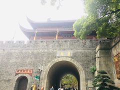 -孙奶奶葱包桧