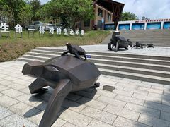 -广东惠东海龟国家级自然保护区