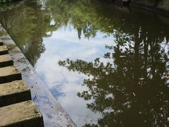 -桤木河湿地公园