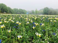 -保利石象湖景区
