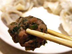 茴香猪肉饺子-枫林饺子