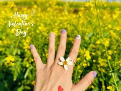 -光明小镇欢乐田园