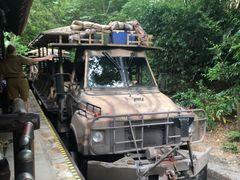 -奥兰多迪士尼动物王国乐园