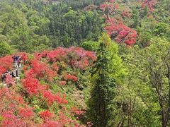 -岳西天峡风景区