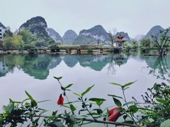 -靖西鹅泉风景区