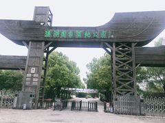 门面-溱湖国家湿地公园