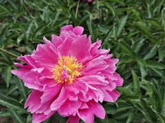 -沈阳植物园