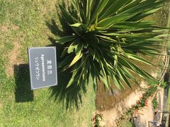 悦华酒店-厦门悦华酒店