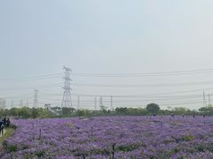 -上海杨姆庄园