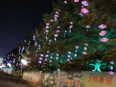 -二一九公园