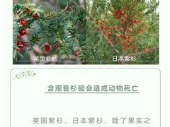 -瑞派申生动物医院·24H夜诊·国际动物医疗中心·骨外科(吴中路店)