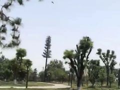 -汉长安城未央宫国家考古遗址公园