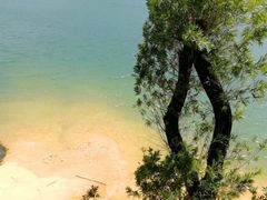 -广州市流溪河国家森林公园