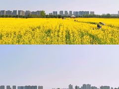 -汉长安城未央宫国家考古遗址公园