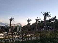 -朱家尖南沙景点