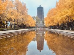 -玲珑塔公园