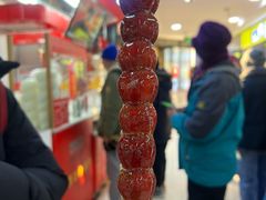-和禄德冰糖葫芦