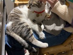 -铜瓢江湖兔火锅(水碾河社区店)