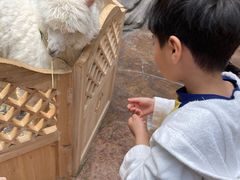 -杭州开元森泊度假乐园