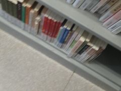 -金陵图书馆