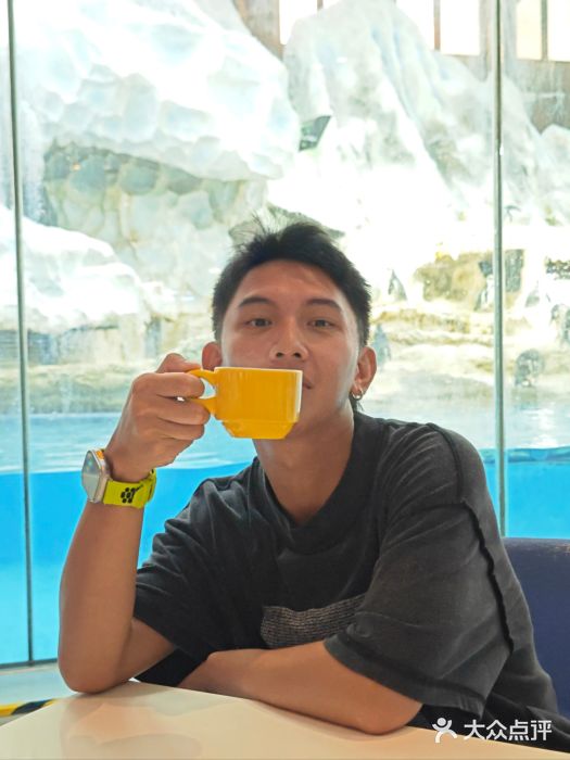 帝企鹅自助餐厅•儿童岛•真企鹅(长隆企鹅酒店)图片