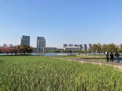 -尚贤河湿地