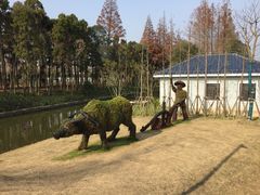 -上海长兴岛郊野公园