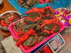 -辣螃铠盆盆蟹大排档(总店)