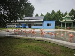 -秦皇岛野生动物园