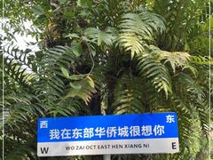 -东部华侨城