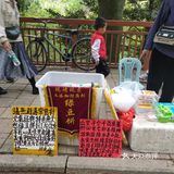 森林公园二刷