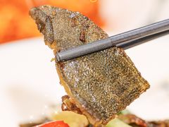 -有腥气私房菜·寻味顺德