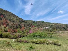 -贵州百里杜鹃风景名胜区