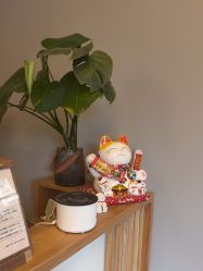 -头等闲·泰洗头颈肩概念体验店