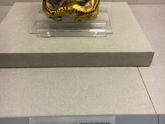 -北京大学赛克勒考古与艺术博物馆