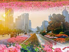 -上海科技馆(地铁站)