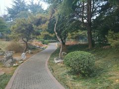 -西苑公园