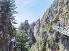 -老君山风景名胜区