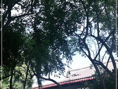 -大雁塔北广场音乐喷泉