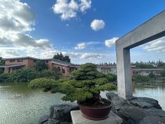 -上海海湾国家森林公园