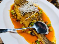 红烧大黄鱼-京坛汇·烤鸭·京菜(宋庄店)