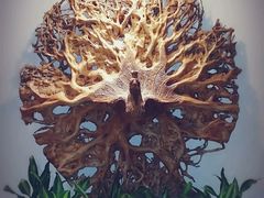 -厦门日月谷温泉渡假村